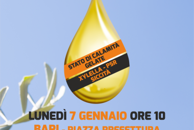 Anci Puglia con i Sindaci a sostegno degli agricoltori