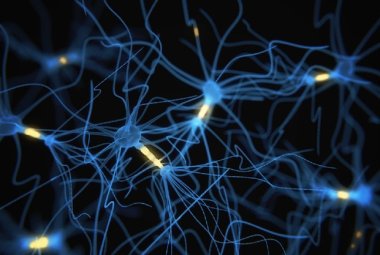 Comunicazione neuronale, pronte le sinapsi artificiali