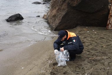Non sono commestibili i gamberi spiaggiati ad Ischia