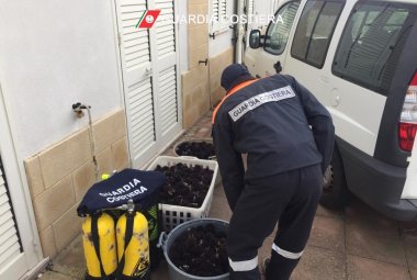 Sequestrati 1800 ricci e multati i pescatori