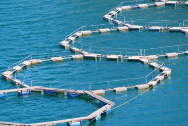 "Imprenditorialità per nuova occupazione e nuove competenze nelle PMI della pesca e dell’acquacoltura”