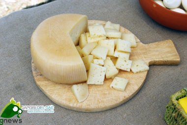 A Lecce il 'Pecorino Day'