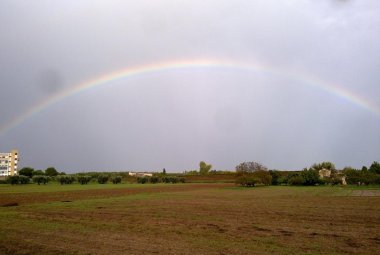 'Brilla in ciel l’arcobaleno' delle classi quinte elementari A-B-C di Galatina e V A-B di Noha