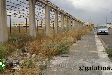 Il “Campo Boario" torna di proprietà comunale
