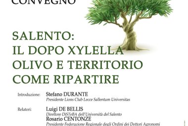 “Salento, il dopo xylella, olivo e territorio, come ripartire”