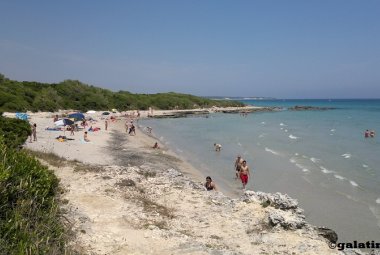 Sette spiagge per un “Tour Ecologico”