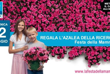 Domenica in piazza San Pietro l'azalea della ricerca contro il cancro