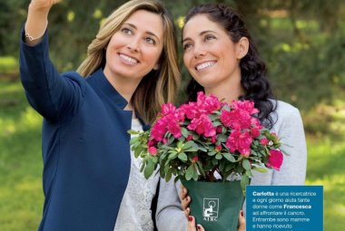 Torna anche a Galatina l’appuntamento con l’Azalea della Ricerca di AIRC