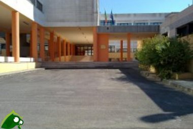 Olimpiadi di Informatica, primo uno studente del “Laporta/Falcone-Borsellino” 