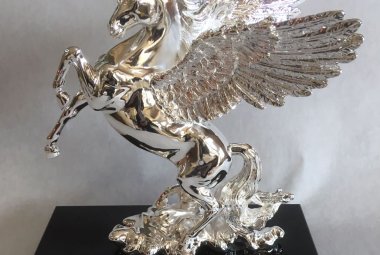Si assegna il “Premio Pegaso per l’Ambiente”