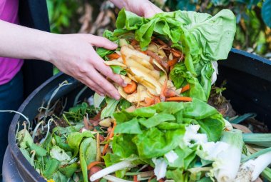 In Puglia si buttano 310mila tonnellate all’anno di cibo