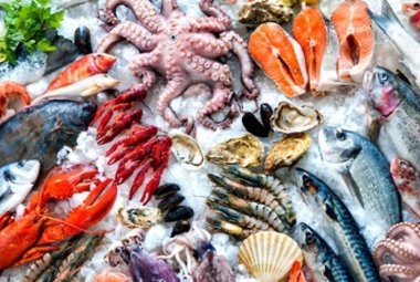 Cominciato il fermo pesca in Adriatico