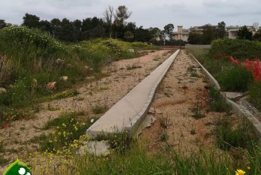 In Consiglio provinciale la tangenziale sud-ovest di Galatina