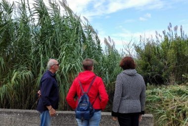 Canale dell'Asso, un sopralluogo per prevenire le esondazioni