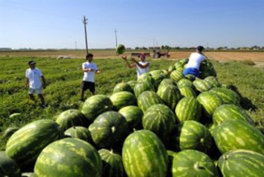 L'amministrazione neretina non apre lo sportello (finanziato) per gli immigrati