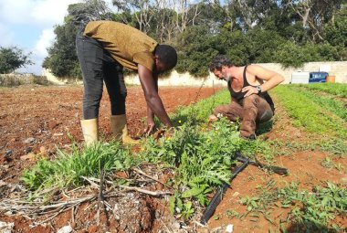 Giovani utenti psichiatrici e famiglie migranti coinvolti in un innovativo progetto di bioagricoltura