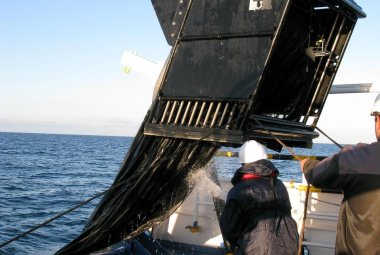 Nel Canale d'Otranto scoperte cinque nuove specie di plancton
