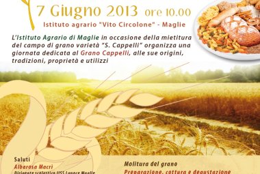 La 'Festa del grano Senatore Cappelli' all'Agrario di Maglie