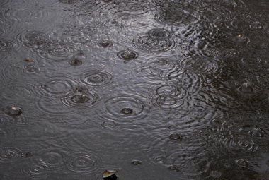 È finita una delle primavere più piovose e fredde degli ultimi decenni