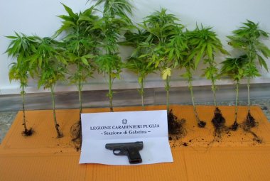 Aveva venti piante di marijuana sul balcone e una pistola dietro al bidet. Arrestato galatinese abitante a Cutrofiano