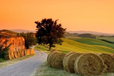 Coronavirus, annullato il 20% delle prenotazioni negli agriturismi in Puglia 