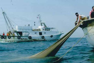 Sarà la Guardia Costiera a distribuire i fondi per sostenere le imprese di pesca