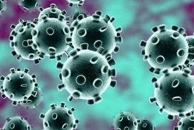 I genomi del virus Sars-Cov-2 non sono differenti dal ceppo cinese