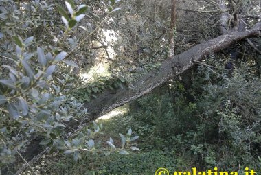 Il tempo che ci resta