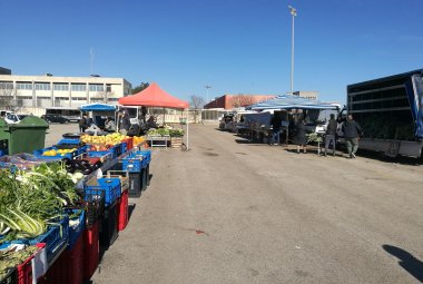 Costituito a Galatina un gruppo di lavoro che programmi il futuro turistico e commerciale della città