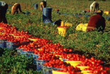 Online la procedura per favorire l'emersione di rapporti di lavoro irregolare in corso con cittadini stranieri