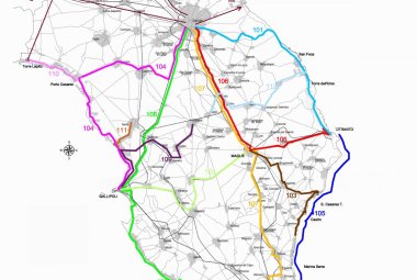 SalentoinBus 2020