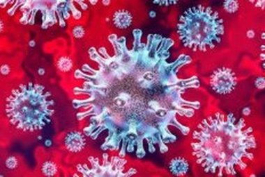 Covid-19. Puglia virus free