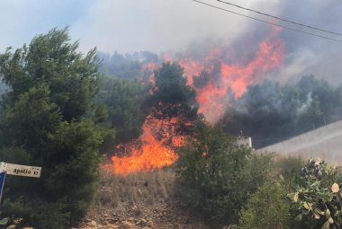 Vasto incendio a Lido Conchiglie