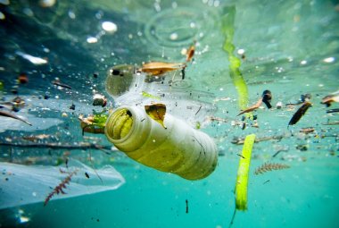 "Ripuliamo il mare dalle plastiche", al via il concorso