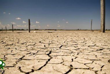 Si aggrava il rischio di desertificazione della Puglia