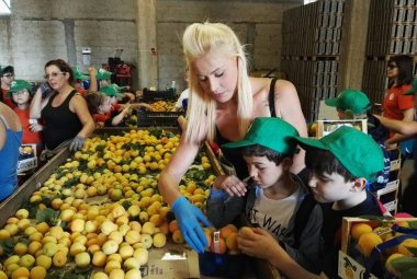 L'agricoltura prima industria di Puglia