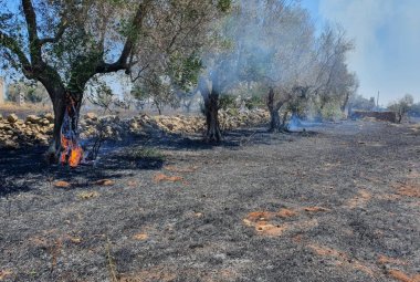 Fiamme sulla Galatina-Lecce. Quando verranno individuati i piromani?