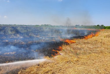 A Galatina gli incendi di Ferragosto