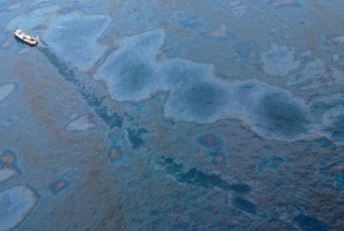 Un batterio ci salverà dall'inquinamento da petrolio