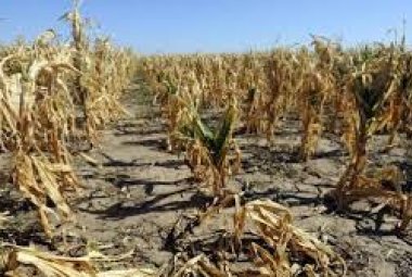 Allarme siccità in Puglia