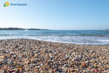 La caletta delle conchiglie a Torre Guaceto: un angolo di paradiso