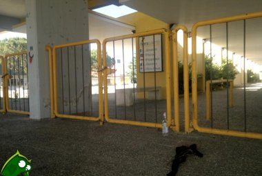 "La Fiera affossata da una maggioranza parolaia"