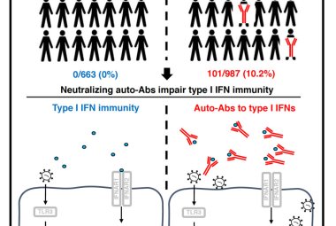 Anomalie genetiche e immunologiche dietro il 15% delle forme più gravi di covid-19