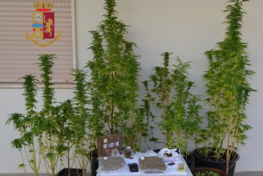 Coltivava marijuana sul terrazzo di casa, ai domiciliari ventiquattrenne di Galatina