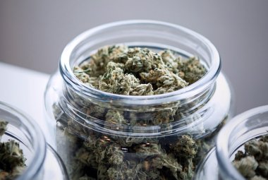 Cannabis terapeutica: i preparati galenici sono distribuiti per la Asl dalla Farmacia del PTA di Maglie