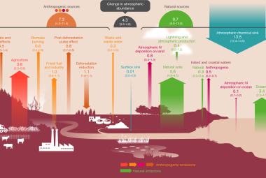 I concimi azotati sono indirettamente una crescente minaccia per il clima