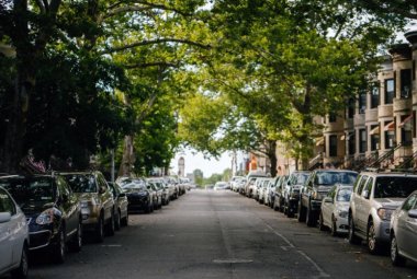Piantare in Italia 50 milioni di alberi in cinque anni