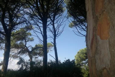 L'ultimo ciao