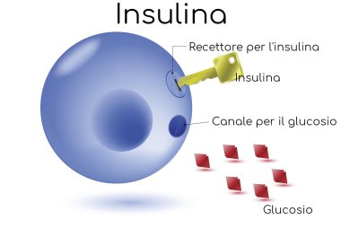 “Siamo i numeri 1”, il secondo workshop di Asl Lecce  destinato a giovani diabetici