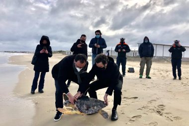Liberata a Torre Chianca una caretta caretta con trasmettitore satellitare